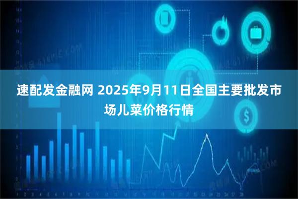 速配发金融网 2025年9月11日全国主要批发市场儿菜价格行情