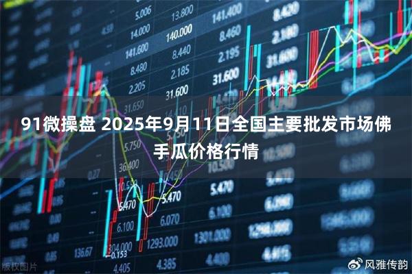 91微操盘 2025年9月11日全国主要批发市场佛手瓜价格行情
