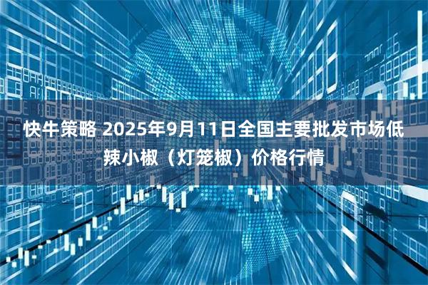 快牛策略 2025年9月11日全国主要批发市场低辣小椒（灯笼椒）价格行情