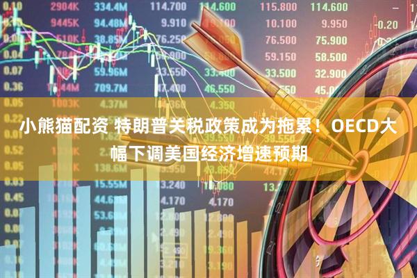 小熊猫配资 特朗普关税政策成为拖累！OECD大幅下调美国经济增速预期