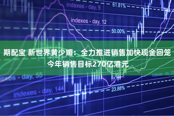 期配宝 新世界黄少媚：全力推进销售加快现金回笼 今年销售目标270亿港元