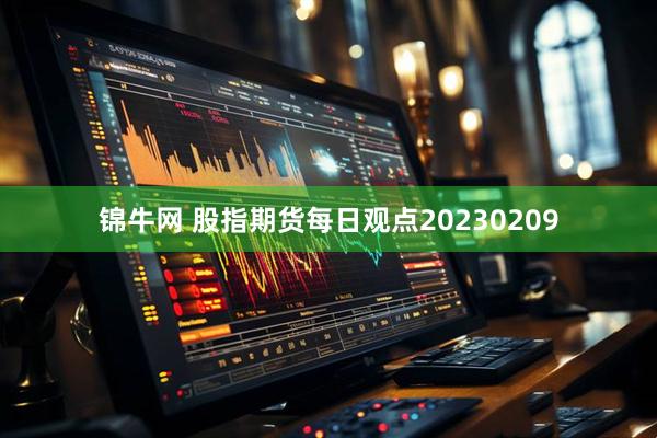 锦牛网 股指期货每日观点20230209
