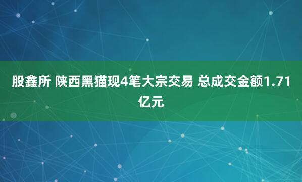 股鑫所 陕西黑猫现4笔大宗交易 总成交金额1.71亿元