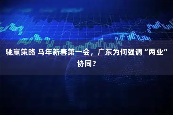 驰赢策略 马年新春第一会，广东为何强调“两业”协同？